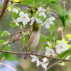 のびのび～～１