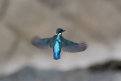 カワ子ちゃんＢ面