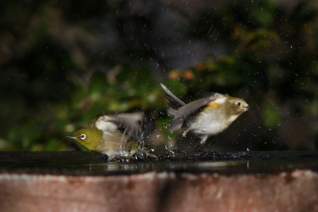 おどかしてはいけません