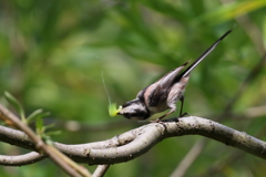 子供達のために２