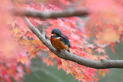 私狙ってます～♪