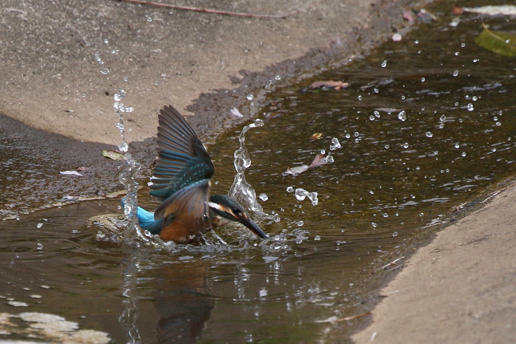 浅くないですか？