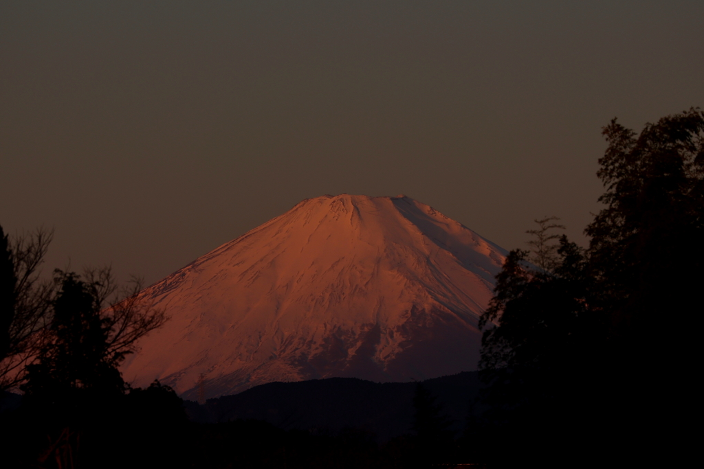 富士山