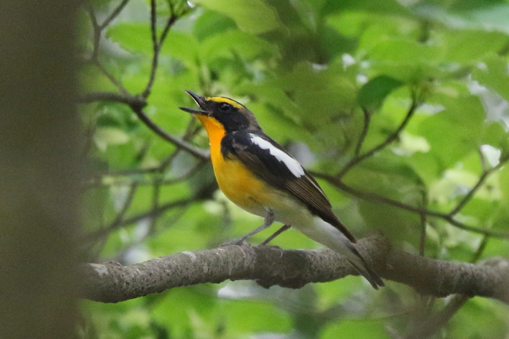 うまかった～～