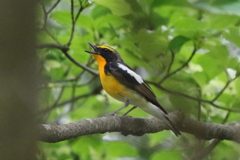 うまかった～～