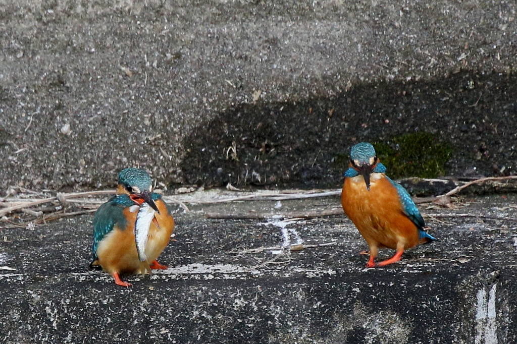 いただきま～す