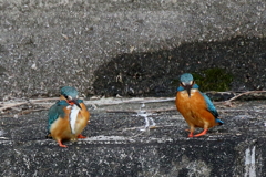 いただきま～す