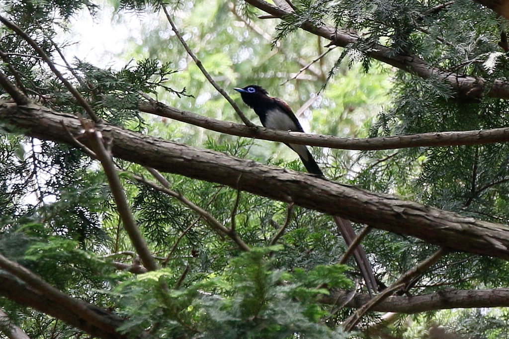 お会いできました