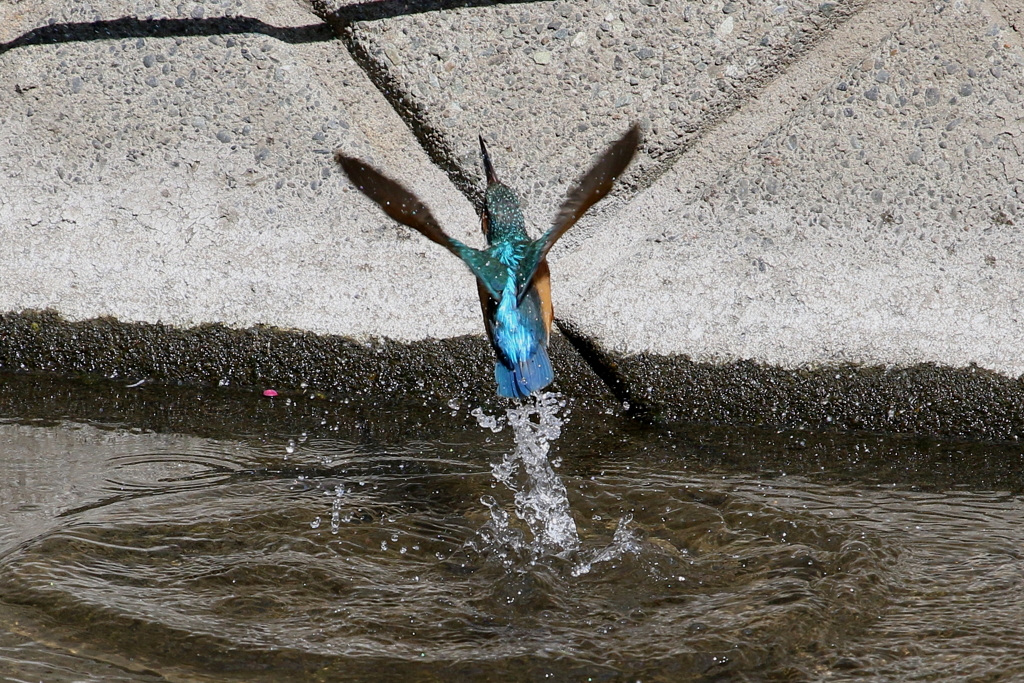 水浴び３