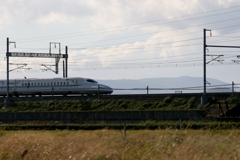 かすかに