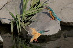 けんかはやめて２