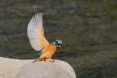 すべり込みセーフ？