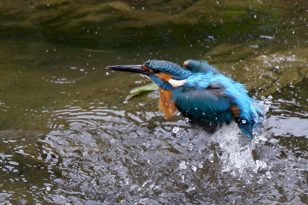 水浴びとおちゃん４