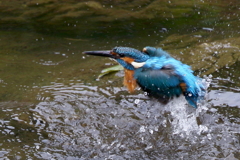 水浴びとおちゃん４