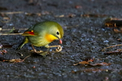 しっかりもって