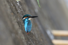 コンクリート好きですか？２