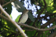 写しちゃったぁ