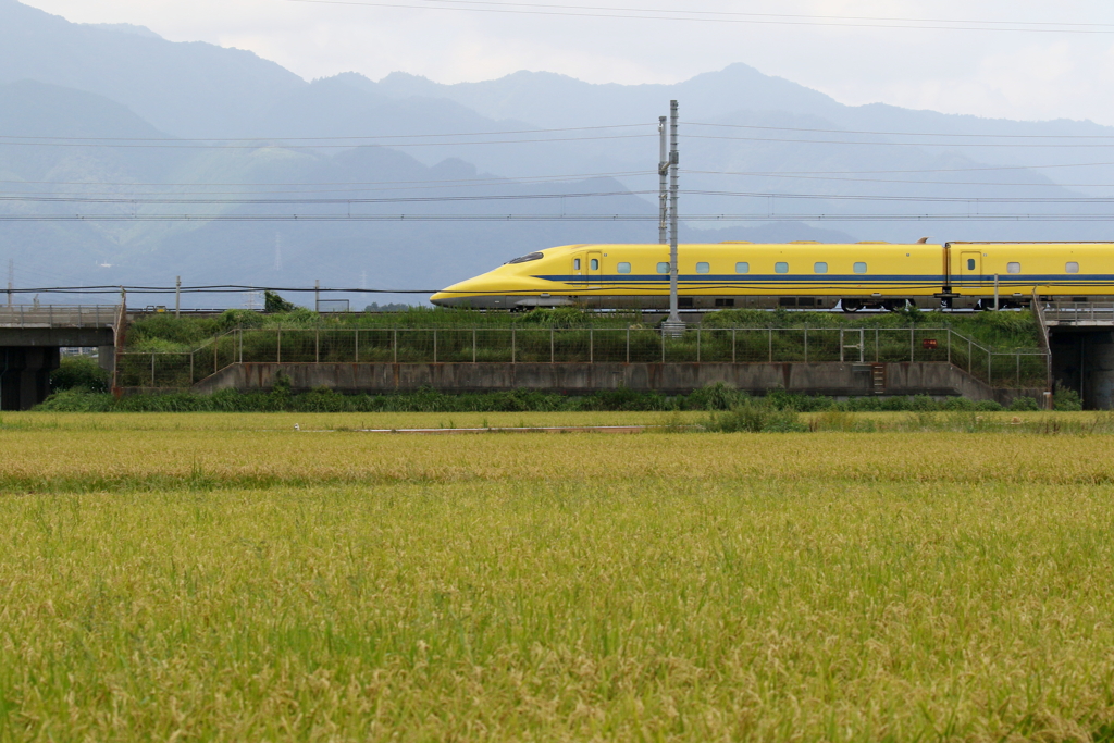 嵐の前