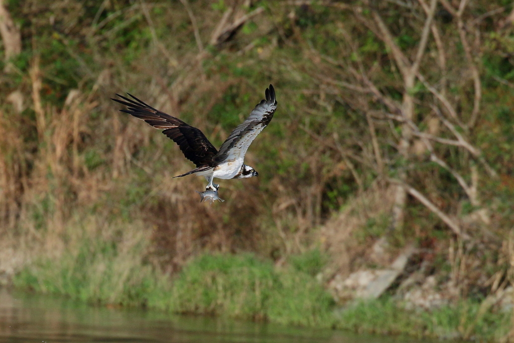 もどってきて～～