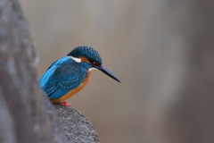 コンクリート好きですか３