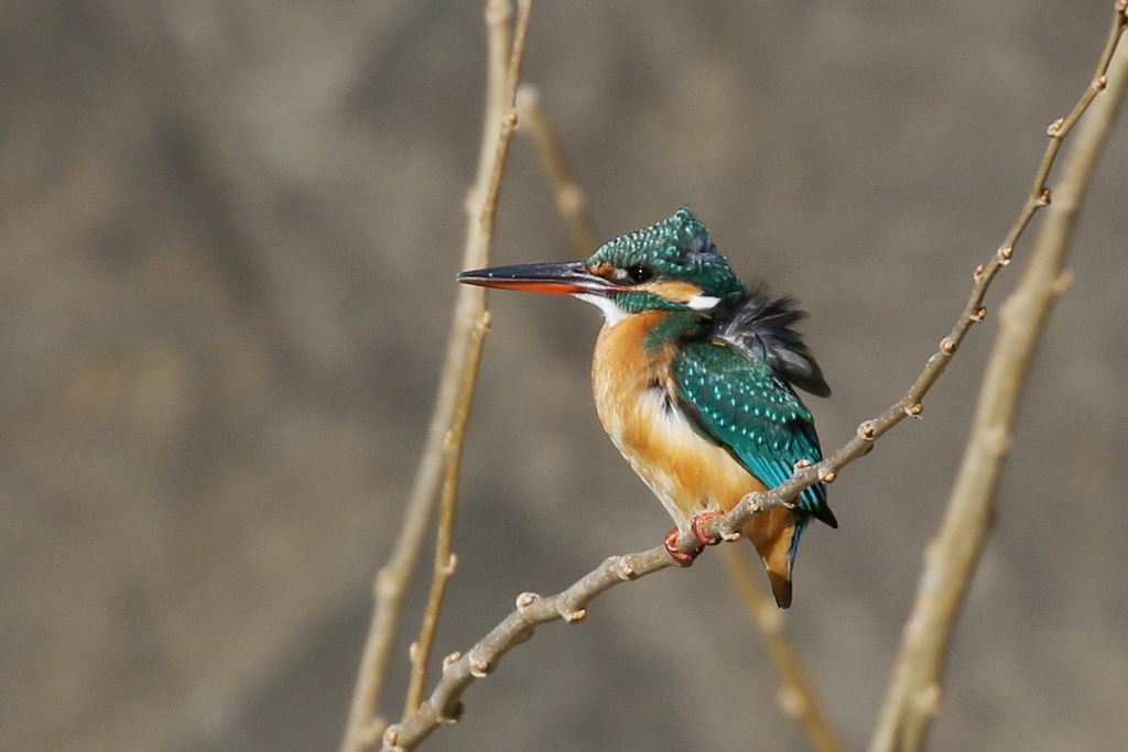 ちょっと笑える１