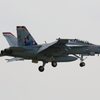 Ｆ／Ａ－１８Ｆ １０２・・２