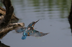 ＳＤとおちゃん２