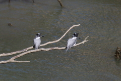 証拠写真１
