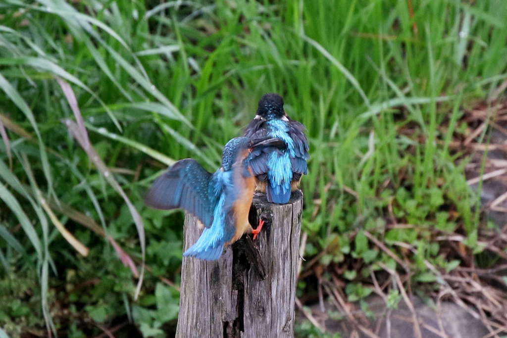 停まりにく～