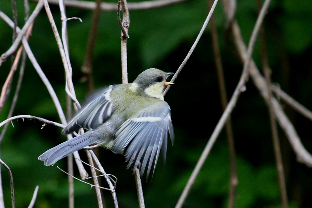 はらへったよ～