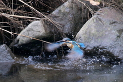 雨でも元気