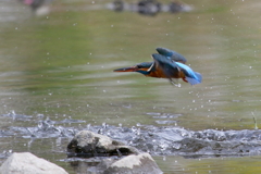 今日のカワ子ちゃん２