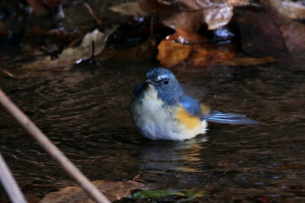 露天風呂ＮＯ２