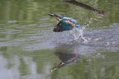 ＳＤとうちゃん