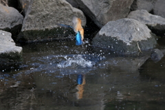 水浴び１