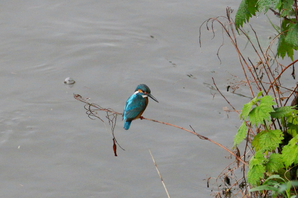 見つけてしまった