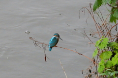 見つけてしまった