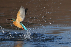 フレームのはしっこにやっと