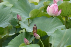 撮れたぁ？