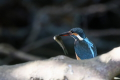 そんな暗いところで