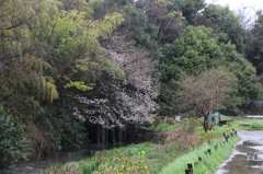 雨上がり