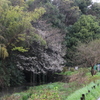 雨上がり
