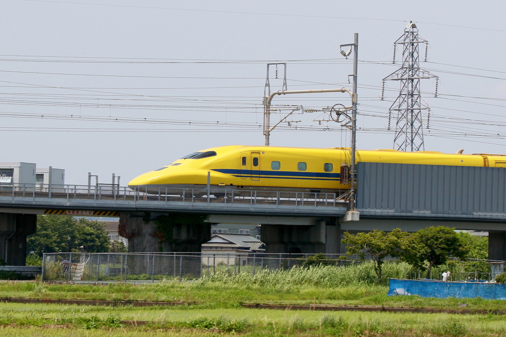 きた～～