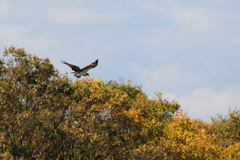 もどってきて～～
