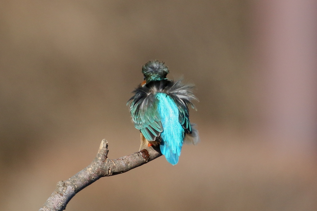 ちょっと笑える２