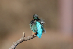 ちょっと笑える２