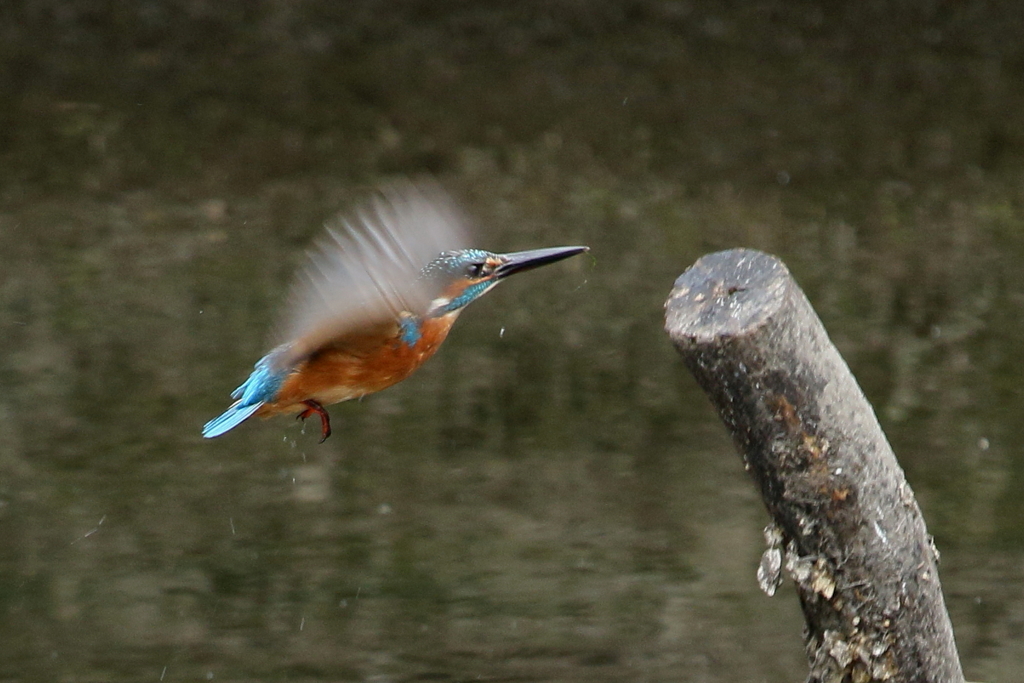 透けてしまった