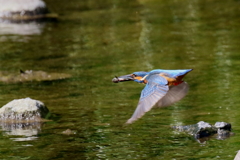 子供達に向かって