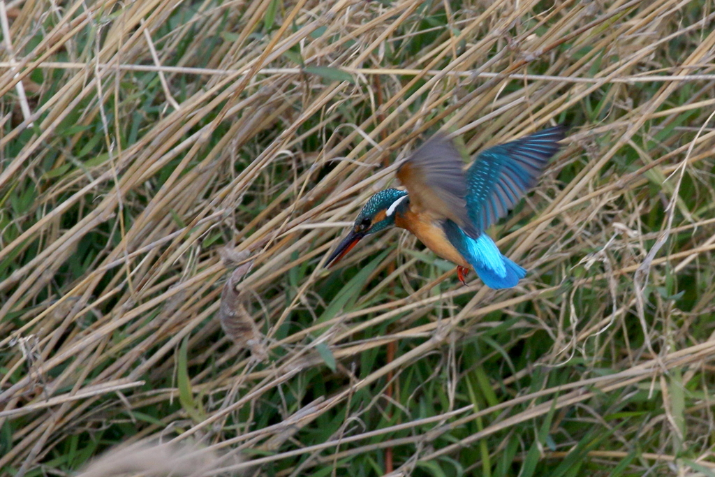 Ｂ面ホバ終了２