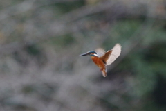 Ｓ面ホバ１－２